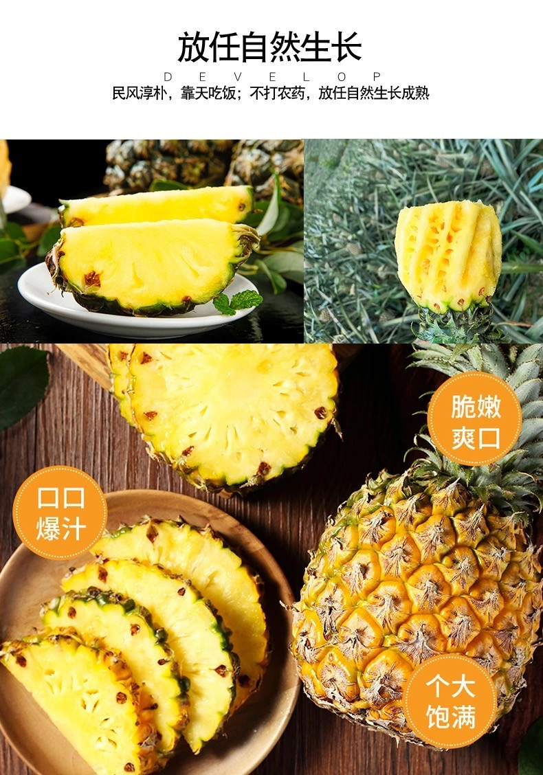 【领劵立减10元】云南 香水菠萝4个装 5斤 新鲜水果 当季现摘小菠萝