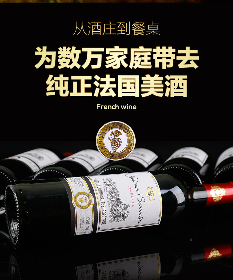 【买6支送6支】法国原瓶进口 歌瑞安侍酒师干红葡萄酒750ml*6瓶 赠开酒器