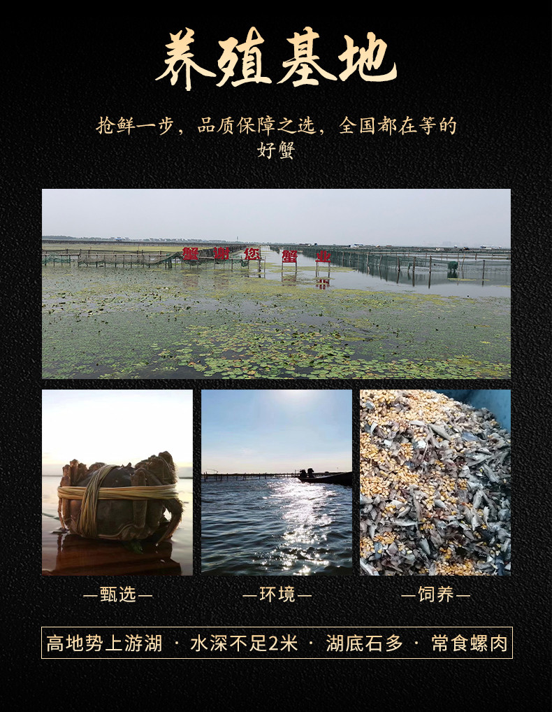 蟹谢您 阳澄湖大闸蟹礼品卡 866型 品尝实惠6只装