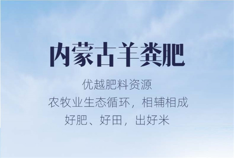 【领券立减8元】【48小时发货】100%纯正黄金苗黄小米 内蒙赤峰农户种植，色泽金黄，米油丰富