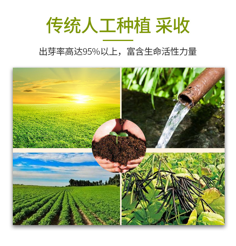 【领券立减12元】【24小时发货】内蒙赤峰 草原小绿豆 皮薄易煮 汤色清绿，香味浓郁