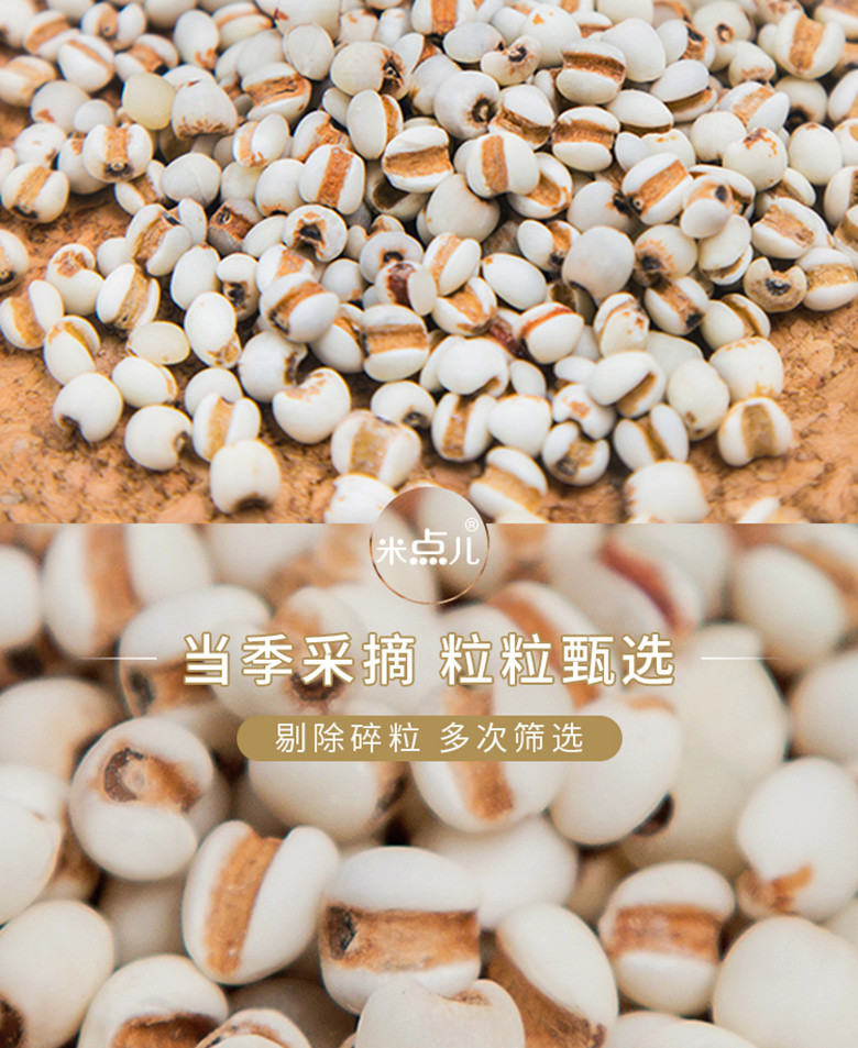 TIANRUI &amp; YOUPIN 天瑞优品薏米500克*2包