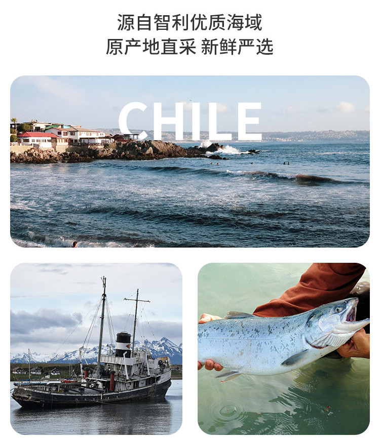 【冰鲜】巴鲜岛 智利进口冰鲜三文鱼 中段整块 刺身级别 净肉260g