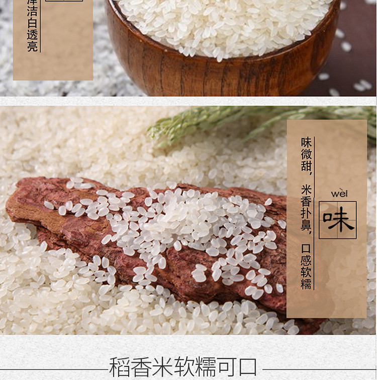 【领劵立减20元】北大壮东北稻香米10斤