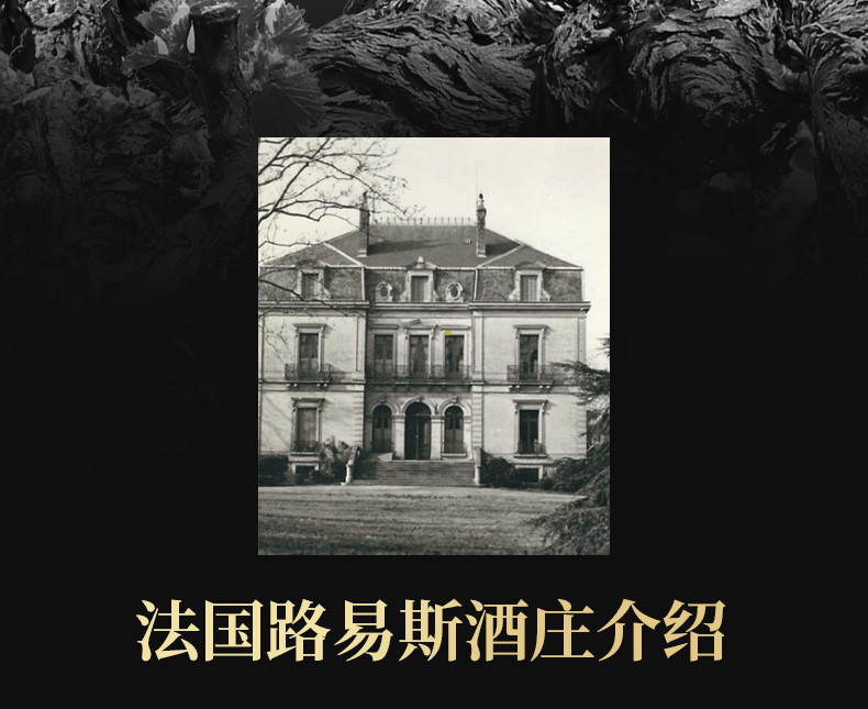 黛安娜 【750ml*6瓶赠礼袋开瓶器】法国原瓶进口红酒稀有14度莫雷尔干红葡萄酒整箱发货