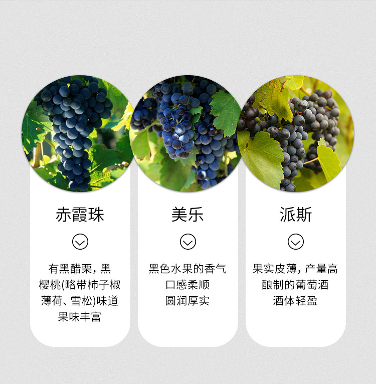 雷则城堡 智利原瓶进口红酒珍藏干红葡萄酒送礼礼箱装