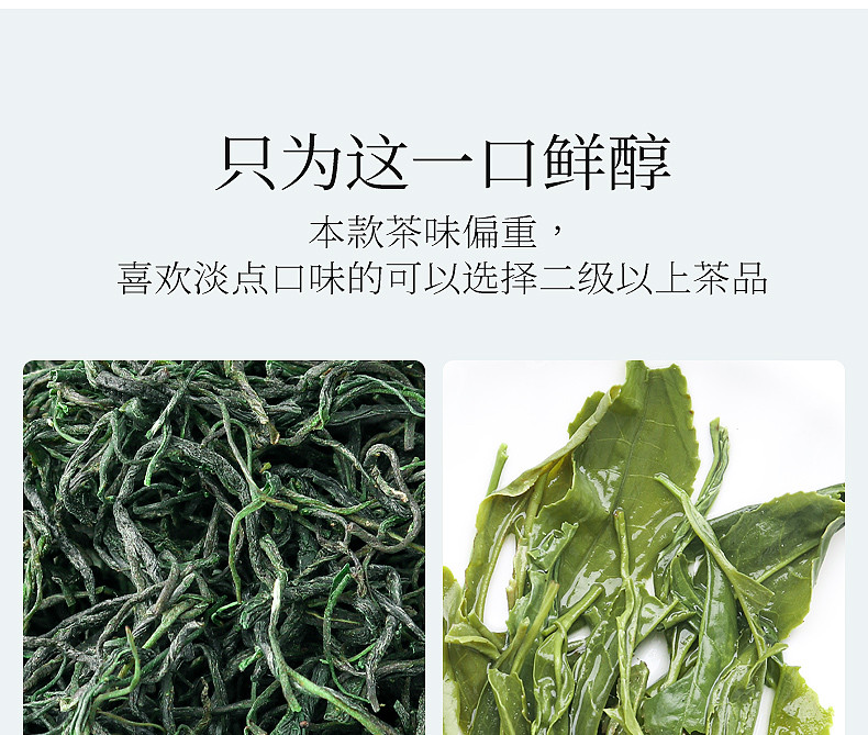 豫信 信阳毛尖茶德2021新茶绿茶小铁盒装浓香型耐泡口粮茶50g