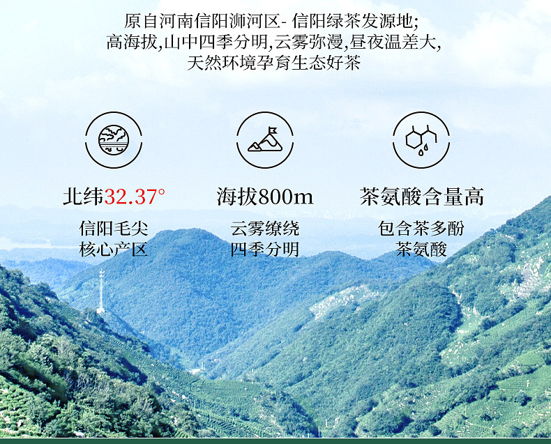 豫信 信阳毛尖茶德2021新茶绿茶小铁盒装浓香型耐泡口粮茶50g