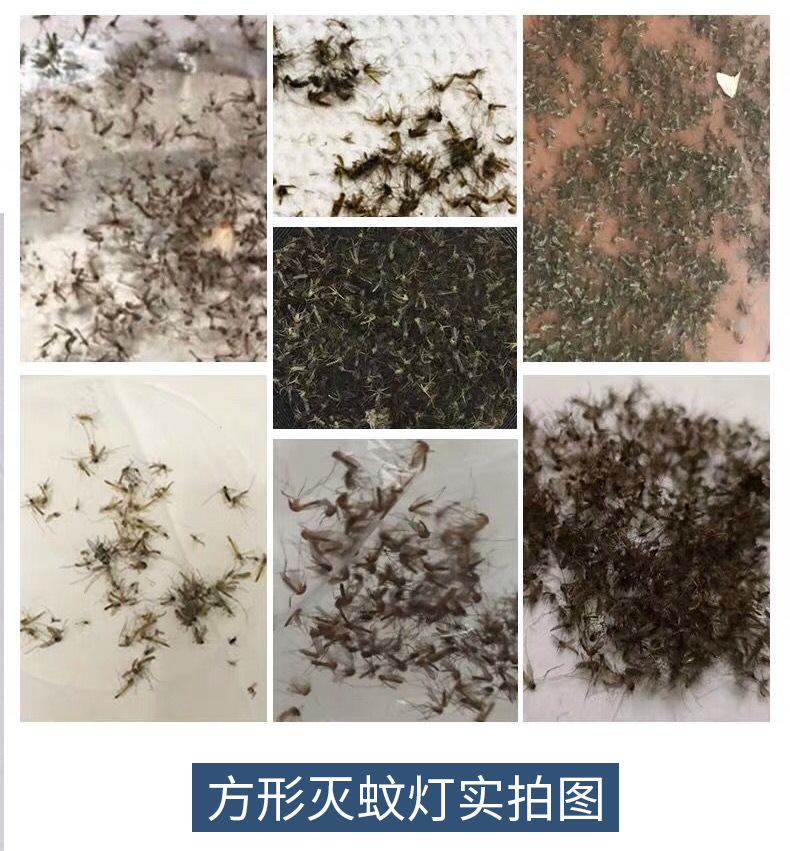 led灭蚊灯家用室内吸入式USB驱蚊器静音蚊子诱捕器智能光波捕蚊灯【复制】