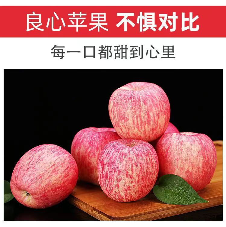 农家自产 【武城馆】烟台红富士苹果5kg*2〔80果〕