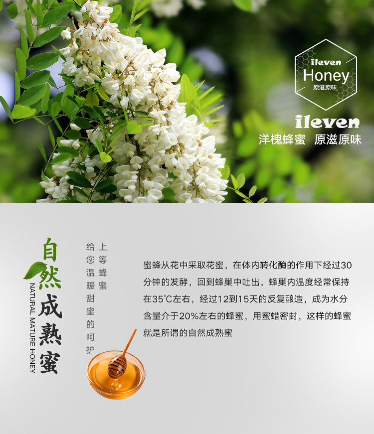 ileven 洋槐蜂蜜10g/袋*10袋/盒*3盒 独立包装 简便快捷  可随身携带  原滋原味