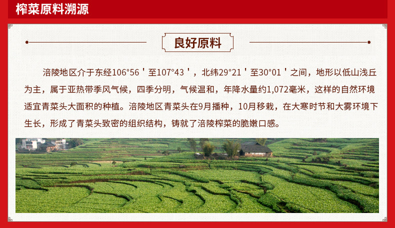 乌江 黄花什锦下饭菜300g*1瓶+脆口榨菜22g*10袋+清淡榨菜15g*10 组合21袋