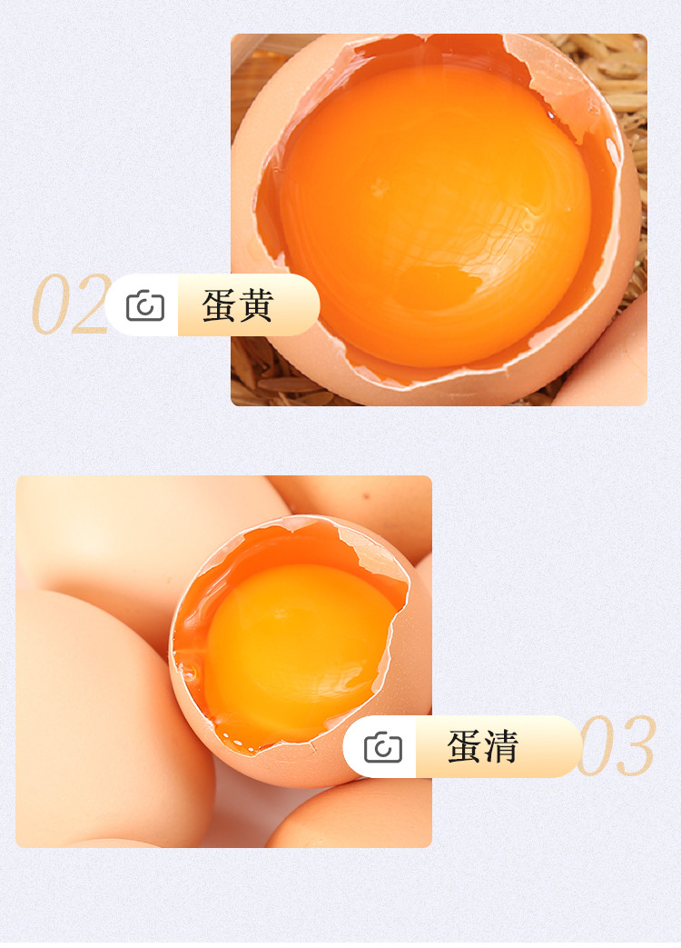 【破损包赔】味乐酷草鸡蛋10枚新鲜鸡蛋营养早餐蛋土鸡蛋正宗散养