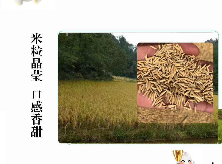 【四川扶贫】广元昭化山清荷花米1kg