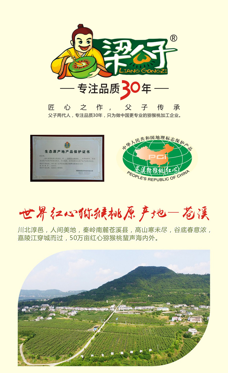 【四川扶贫】苍溪梁公子塑瓶猕猴桃果肉饮料300g