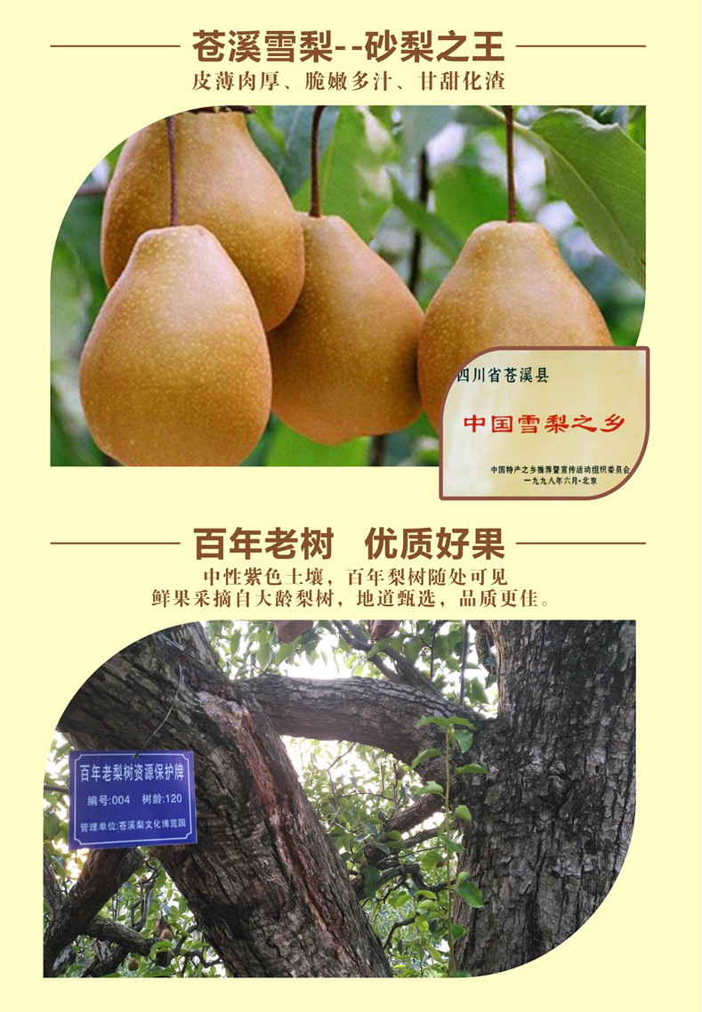 【四川扶贫】苍溪梁公子冰糖雪梨膏80g