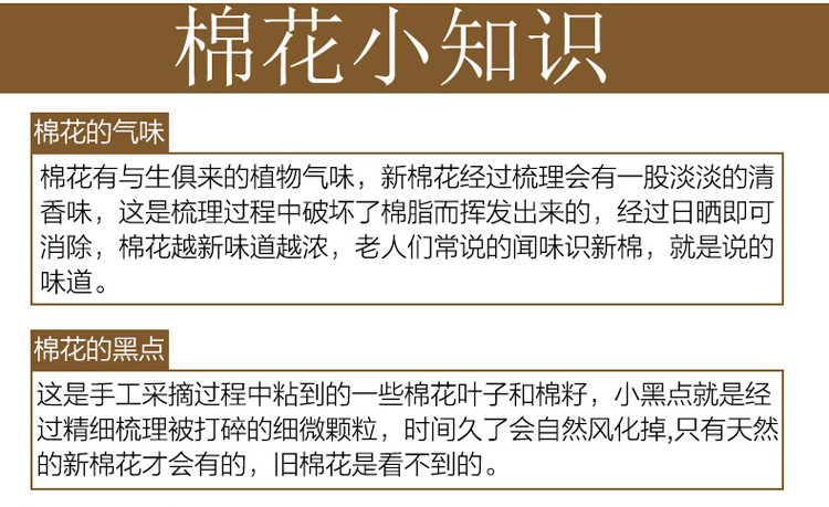 朵西娜 棉花被加厚保暖被芯被子冬被冬季纯棉被棉絮全棉春秋被