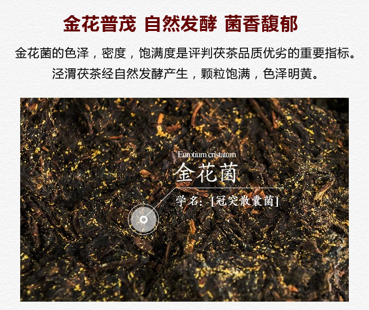  泾渭茯茶 经典1368 900g 陕西黑茶 泾阳茯砖茶 正宗金花伏茶 茶砖