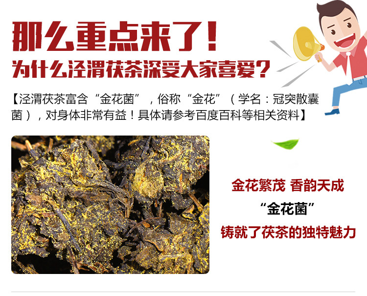  泾渭茯茶 贡福儒品 280g 陕西黑茶 泾阳茯砖茶 正宗金花伏茶 块泡