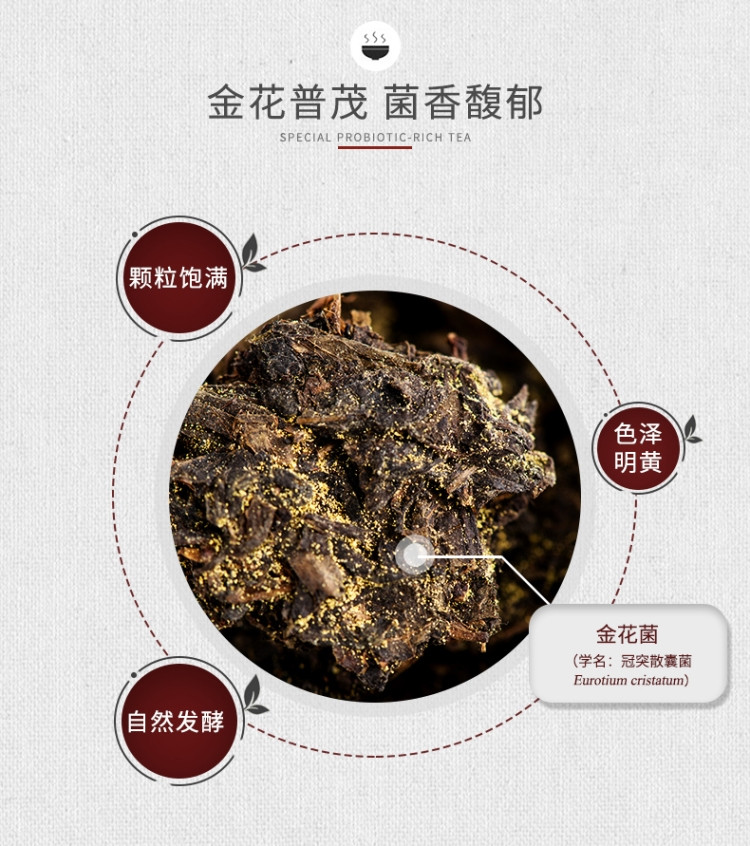 泾渭茯茶贡金茯茶1000克 陕西特产 泾阳茯茶砖茶黑茶叶金花伏茶