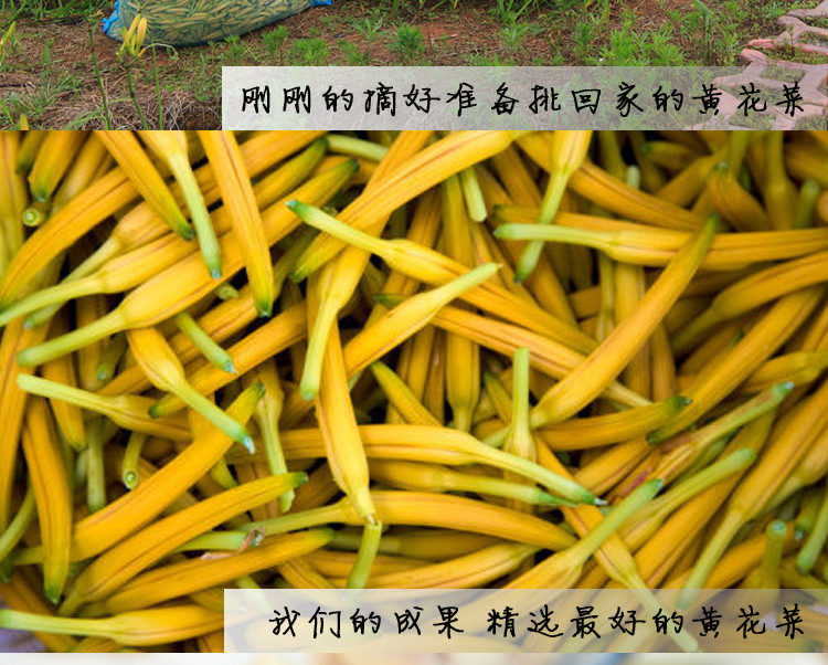 黄花菜干货150g陕西大荔纯天然农家金针菜2020年特级新菜