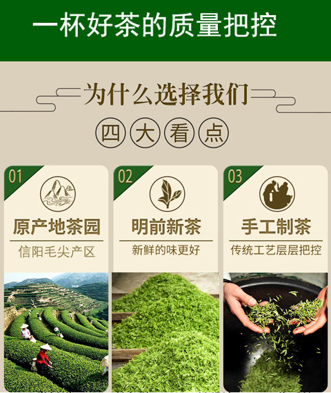 毛尖茶2020新茶信阳绿茶茶叶高山云雾嫩芽手工茶浓香型125g-500g