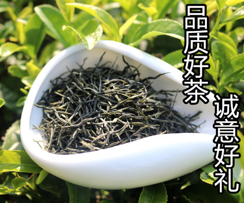 毛尖茶2020新茶信阳绿茶茶叶高山云雾嫩芽手工茶浓香型125g-500g