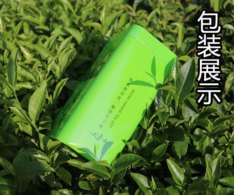 毛尖茶2020新茶信阳绿茶茶叶高山云雾嫩芽手工茶浓香型125g-500g