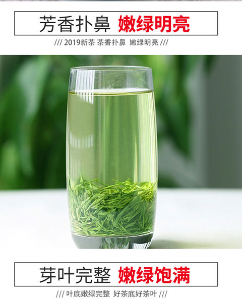 毛尖茶2020新茶信阳绿茶茶叶高山云雾嫩芽手工茶浓香型125g-500g