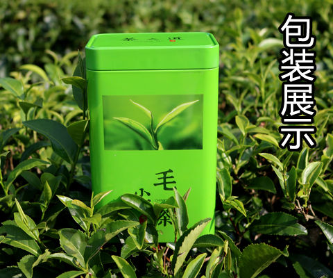 毛尖茶2020新茶信阳绿茶茶叶高山云雾嫩芽手工茶浓香型125g-500g