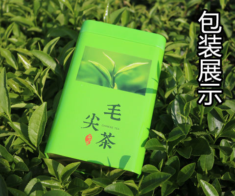 毛尖茶2020新茶信阳绿茶茶叶高山云雾嫩芽手工茶浓香型125g-500g