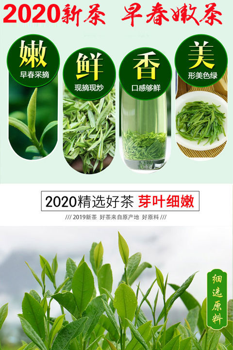 毛尖茶2020新茶信阳绿茶茶叶高山云雾嫩芽手工茶浓香型125g-500g