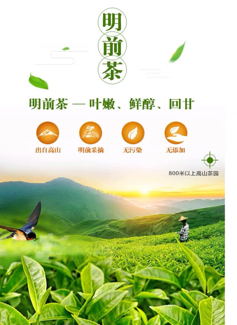 茶叶绿茶碧螺春2020新茶叶云雾绿茶明前春茶浓香型125g250g500g