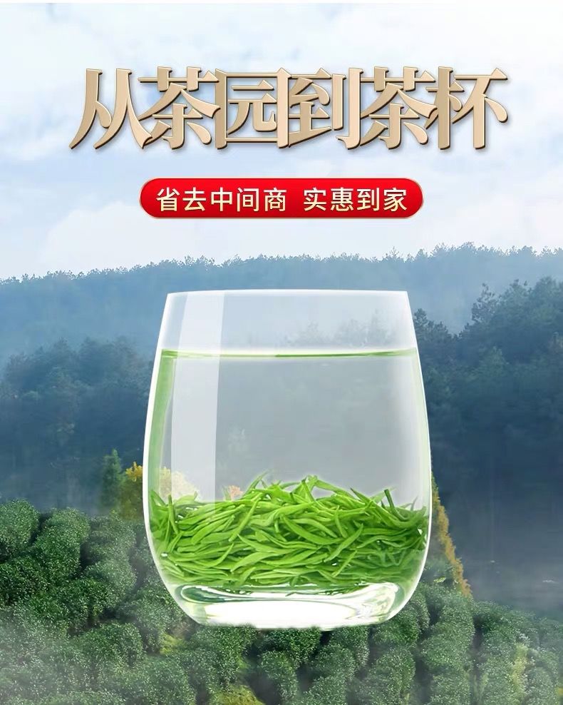 茶叶绿茶碧螺春2020新茶叶云雾绿茶明前春茶浓香型125g250g500g