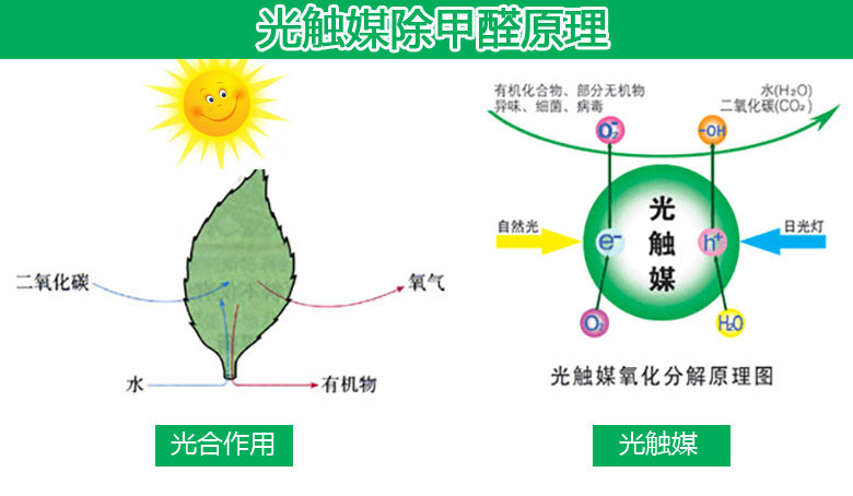 【浓缩型】除甲醛清除剂新房除异味室内除甲醛喷剂装修光触媒家用