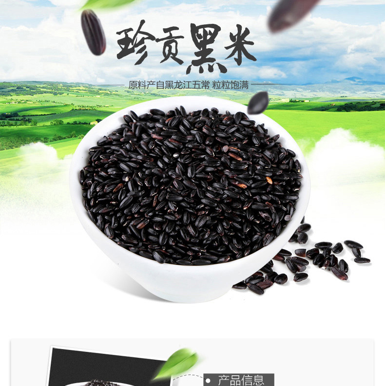 燕之坊 珍贡黑米（一品）470g/袋五谷杂粮