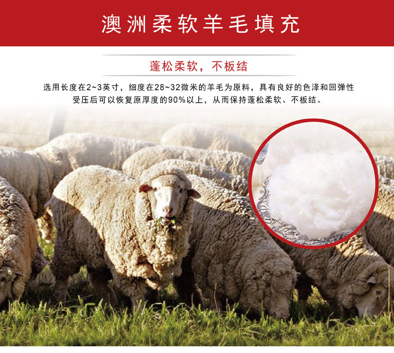 芳恩 羊毛被重6斤FN-B452(规格200x230cm)