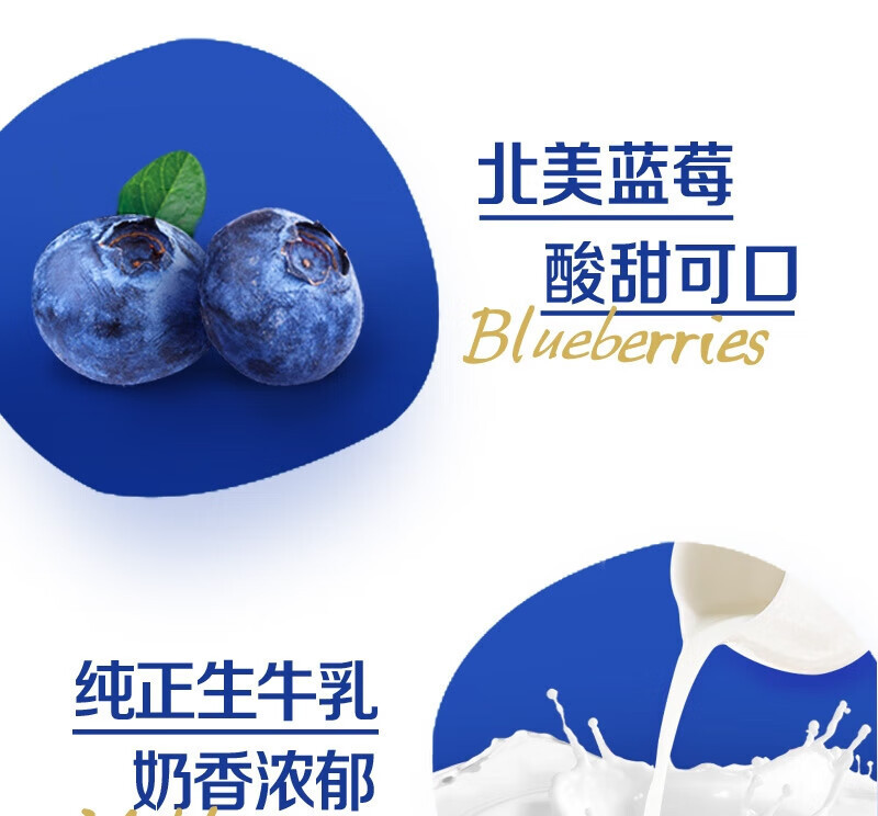 纯甄 蓝莓果粒风味酸奶康美笑脸包200g×10包