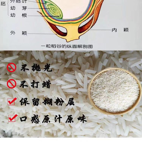 【下单领券减6元】湖北洈水大米5斤装 软韧儿童辅食新米有机大米非稻花香非进口宝宝粥米五常大米