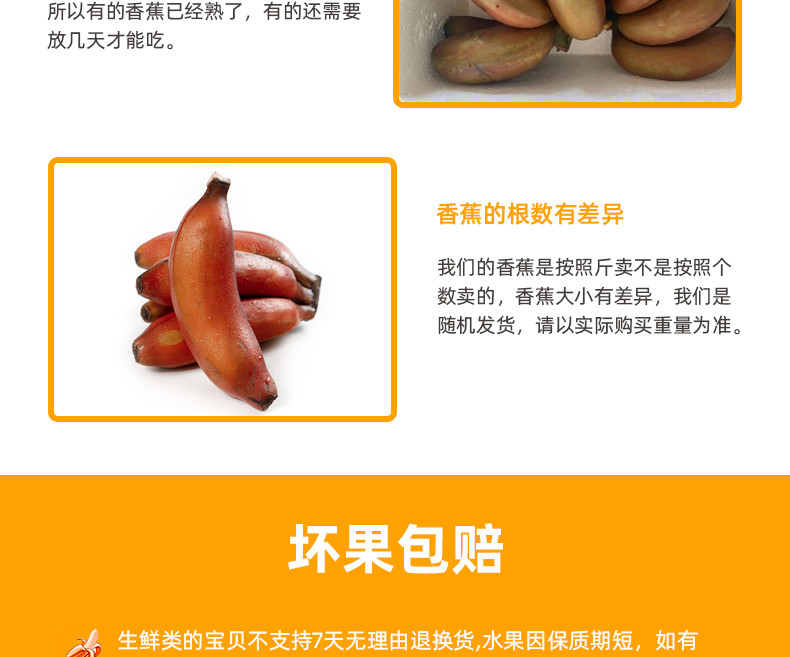 【48小时现摘发货】广西红香蕉5斤装 新鲜红皮芭蕉17-21个水果甜香焦美人蕉有滋有菋包邮