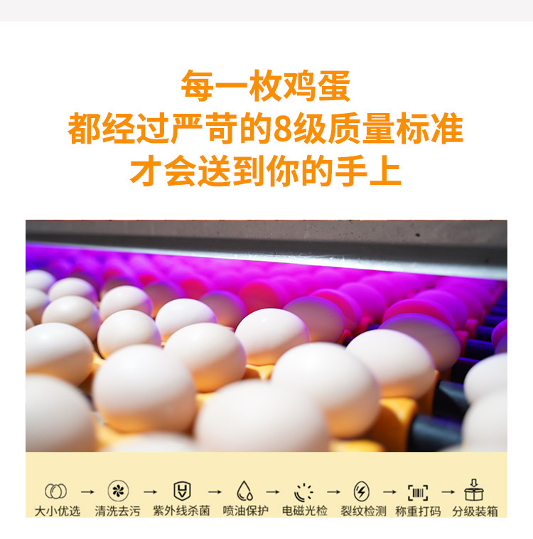 新希望长白山纯粮谷物蛋30枚可生食无抗无沙门氏菌超大鸡蛋60g/枚