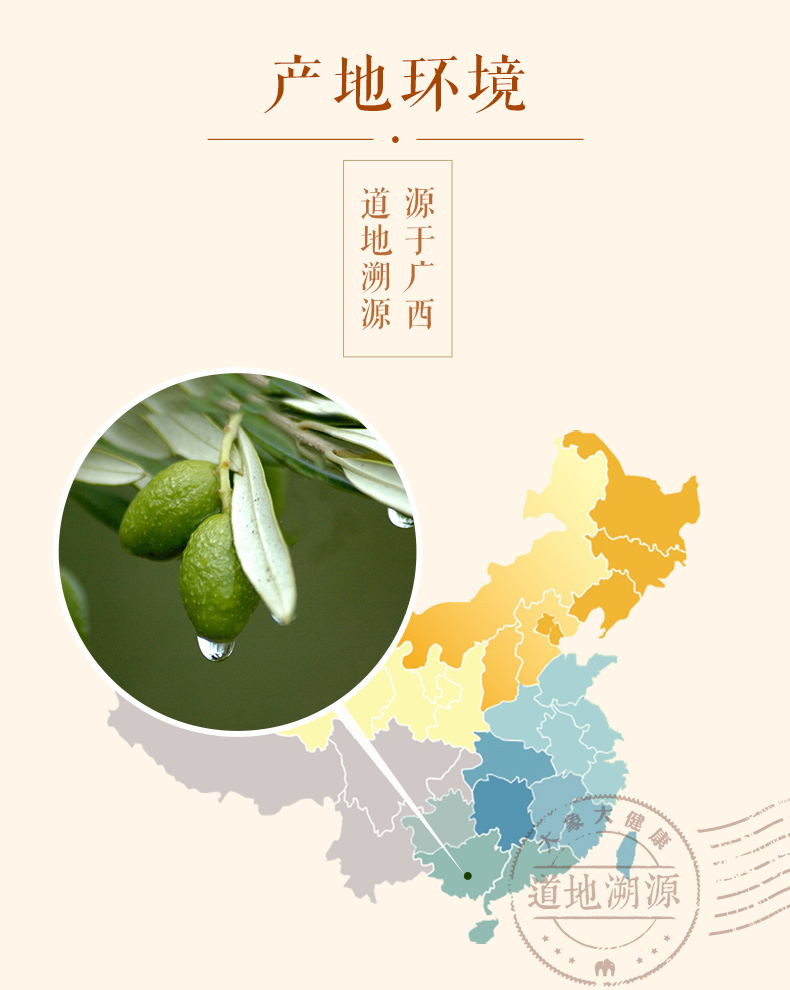 【象记净养】 胖大海220g 特级胖大海茶包邮润喉茶可配菊花茶泡水