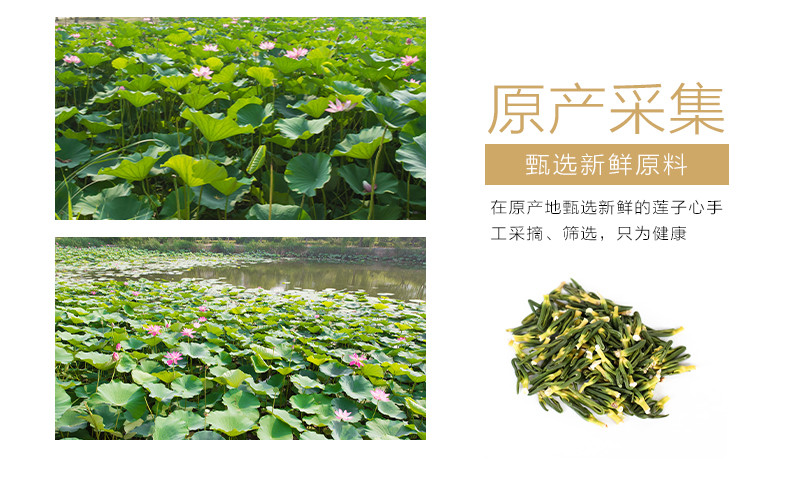 象记净养 莲子茶100克新鲜莲子泡茶泡水