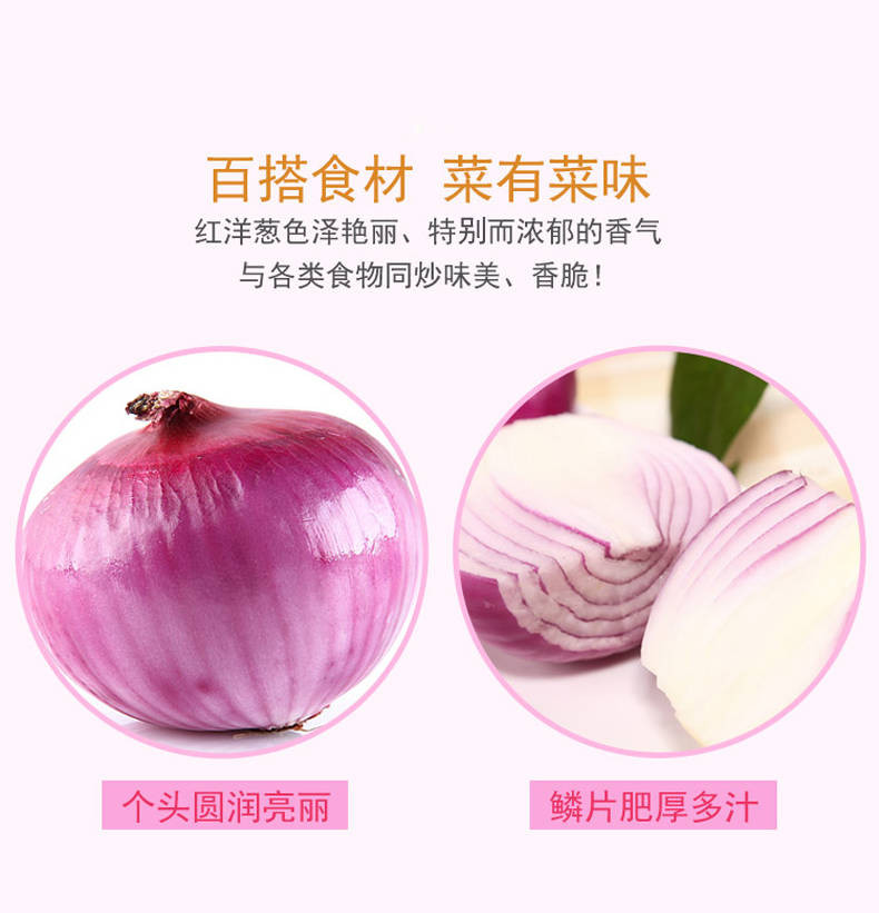 【新品洋葱】新鲜现挖洋葱圆葱新鲜蔬菜批发5斤紫皮洋葱农家自种葱头包邮