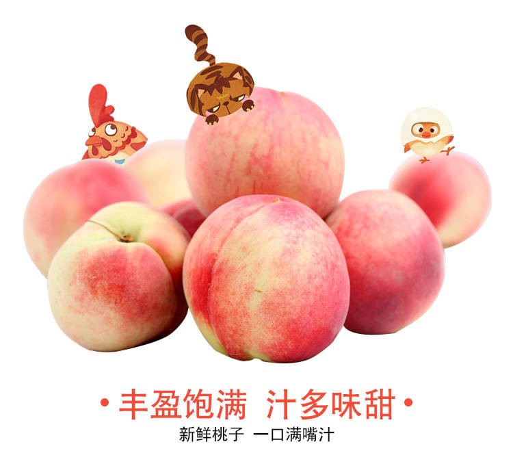 【现摘冬桃3-10斤】水蜜桃脆甜桃子 当季时令水果新鲜青州桃批发