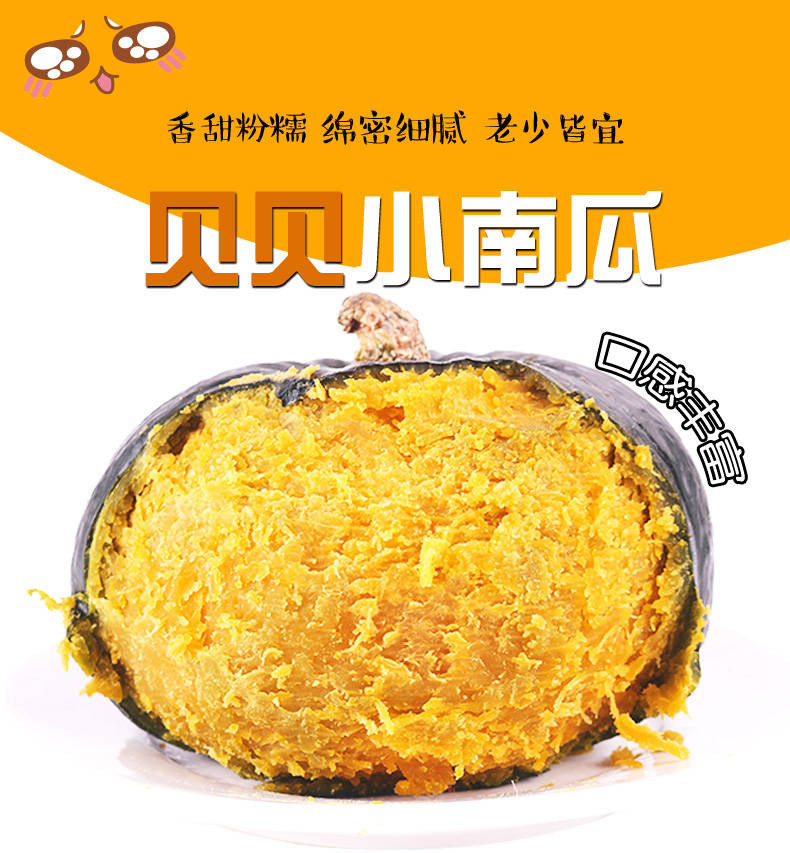 【正品】进口真贝贝南瓜小南瓜板栗味贝贝宝宝辅食栗面新鲜南瓜