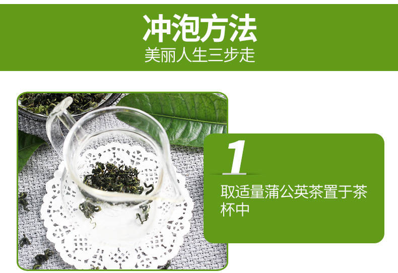 蒲公英茶长白山野生天然蒲公英花茶叶特级40g-250g