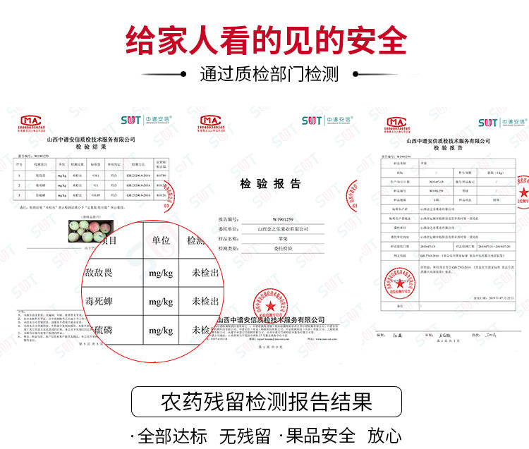  【10斤精选大果】新鲜现摘红富士苹果正宗水果脆甜冰糖心丑苹果10斤整箱批发