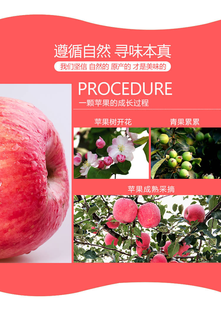 【坏果包赔】新鲜红富士苹果脆甜冰糖心丑苹果水果5斤带箱现货批发包邮
