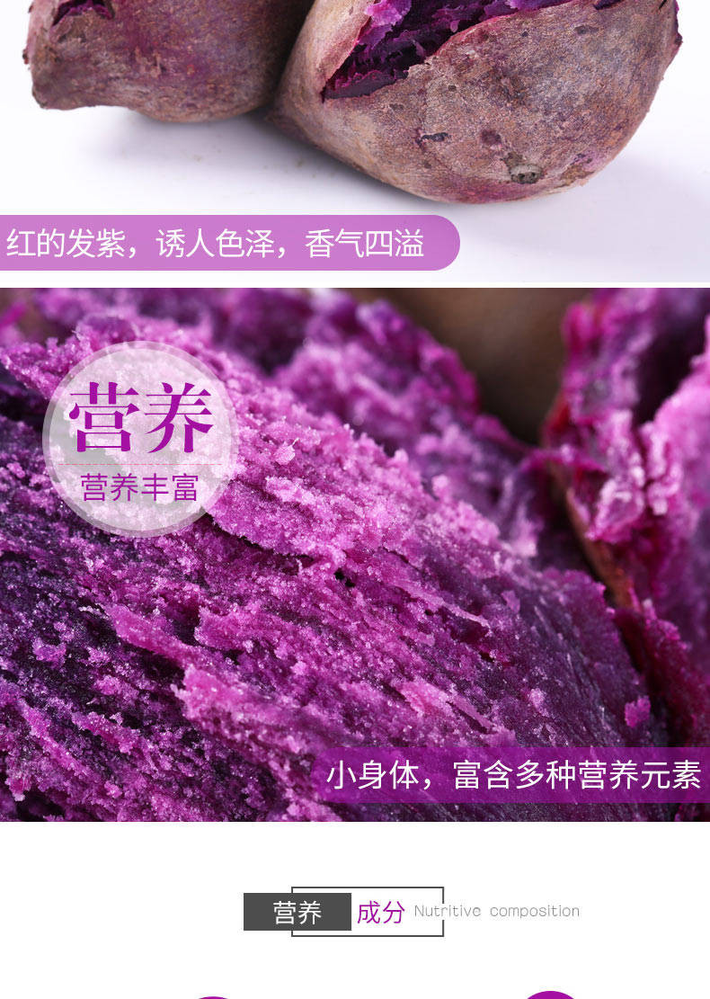 【坏果包赔】紫薯新鲜现挖现发5斤红薯沙地小山芋地瓜番薯粉糯香甜